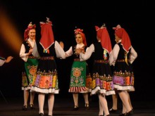 Над 500 деца участват във фестивала "Рошавата котка"