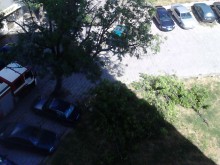 Вятърът откъсна дърво и го стовари върху кола в Кършияка