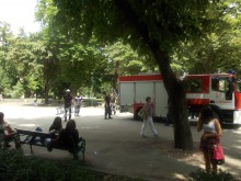 Пожарникари спасиха котенце в Цар Симеоновата градина