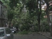 Страшната буря, която се разрази снощи, остави множество поражения след себе си