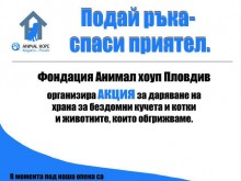 Акция за набиране на храна за бездомни кучета и котки