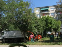 В "Западен" започна почистване на зелените площи