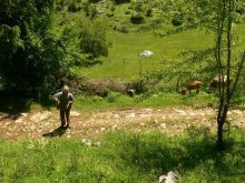Инвеститори от Нова Зеландия проявяват интерес към смолянското село Попрелката