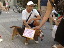 Пловдивчани с алтернативна форма на протест срещу Орешарски