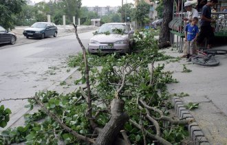 Огромен клон потроши автомобил на варненец