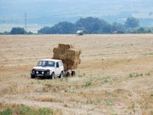 Разплетоха мистерията: Ниви, наторени с птичи тор, са източникът на отвратителната воня в Пловдив