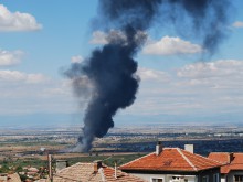 Пожар избухна край борсата в Първенец