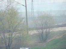 Районните кметове скочиха срещу "Градини и паркове"