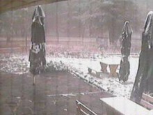 Сняг вали на хижа Здравец и Пампорово