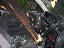 Пиян шофьор пося дърво в автомобил
