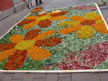 Благосклонната есен продължава и днес, очакват ни идеалните 23°