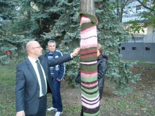 Обвиха стъблата на 12 дървета в Кючука с плетени платна 