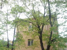 Над 3,1 млн. лева от продажби на конфискувани активи осигури НАП Пловдив за бюджета