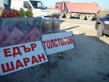 Масови проверки на рибните магазини преди Никулден, няма санкционирани
