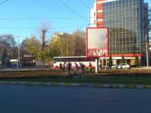 Нова растителност на кръговото кръстовище на бул. "Дунав"