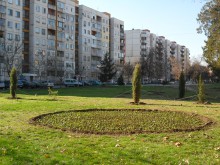 25 000 теменужки разкрасяват ул. "Скопие"