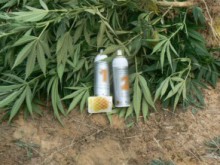 В Пловдив ще се проведе форум под надслов "Заедно за едно ново начало"