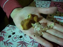 Жена откри тиксо в детски десерт