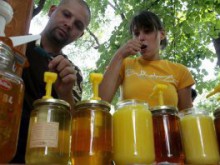 Правят обща българска марка за биопродукти