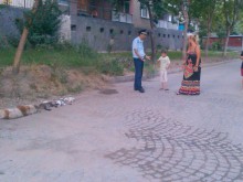 Избиват кучета и котки в Пловдив с карфици, поставени в кренвирши