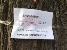 Не паркирайте в Центъра, опасно е!