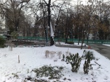Арх. Прокопиев: Няма да махаме асфалта от алеите при реконструкцията на Цар Симеоновата градина!