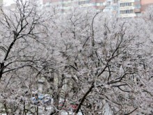 Температурите падат до минус 11°