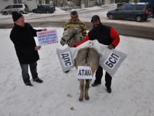 Ексцентрик показа магарето Орешарко