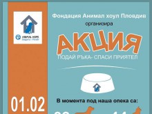 Дарителска кампания организира в Пловдив "Енимъл Хоуп България"