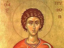 Днес е Трифон Зарезан