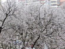 От -13 до +20 градуса през февруари