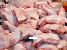 Експерти: Не сме открили нищо нередно в пилешкото месо
