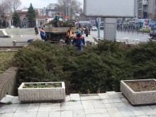 Облагородяват градинката пред Прокуратурата