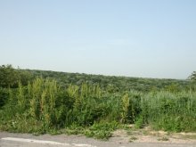Косенето на тревите в "Северен" закъсва