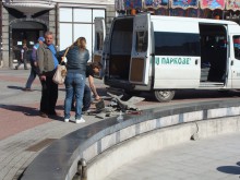 Пускат Фонтана с пеликаните 