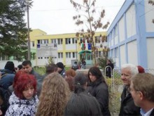 Експертиза потвърди: Отрова за мишки в млякото в ЦДГ "Слънце"!