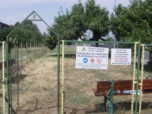 Домашни кучета правят поразии из Пловдив, глобиха собствениците