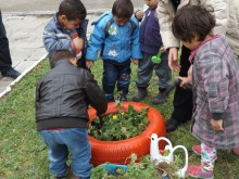 Деца от ЦДГ "Ружа" се погрижиха за природата