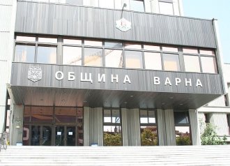 Искат стандарти за дърветата във Варна