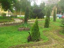 Облагородиха градинка в "Северен"