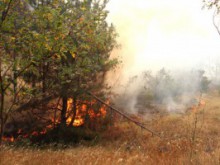 2100 доброволци готови за борба с пожарите тази година
