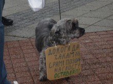 Вувузели на годишнината от протестите срещу Орешарски в Пловдив