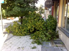 Читателка, попаднала в сърцето на бурята: Беше страшно!