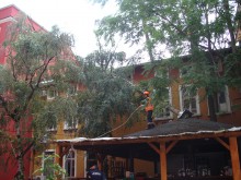 Пожарната премахва опасно надвиснало дърво в центъра на Пловдив
