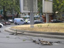 Подновяват делото за убитата от тролейбусни жици Галя Халачева