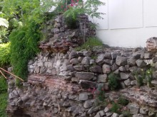 Читател сигнализира за непочистена растителност в Стария град