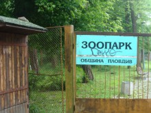 Природозащитници бавят обновяването на Зоологическата градина в Пловдив