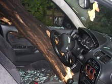 Дърво помля паркиран автомобил
