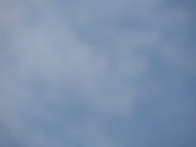 Наказателни постановления за 33 000 лв. издаде РИОСВ-Пловдив през юли