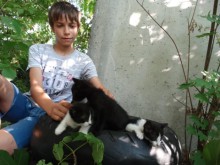 В "Тракия": Деца горят и разчленяват живи котета за забавление